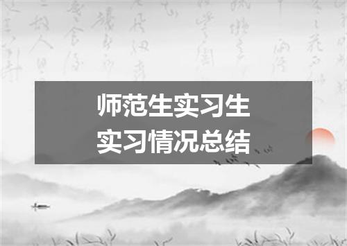 师范生实习生实习情况总结