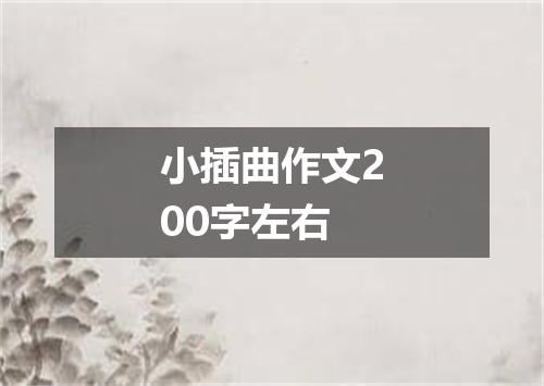 小插曲作文200字左右