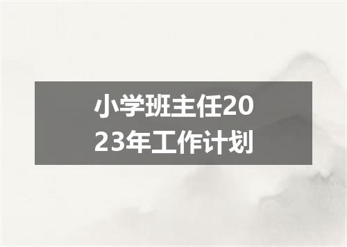 小学班主任2023年工作计划