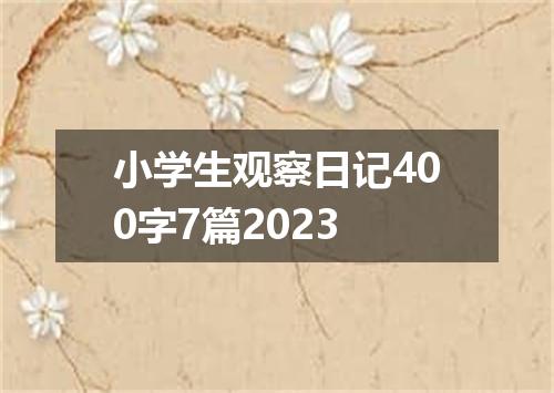 小学生观察日记400字7篇2023