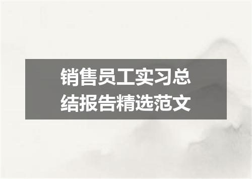 销售员工实习总结报告精选范文
