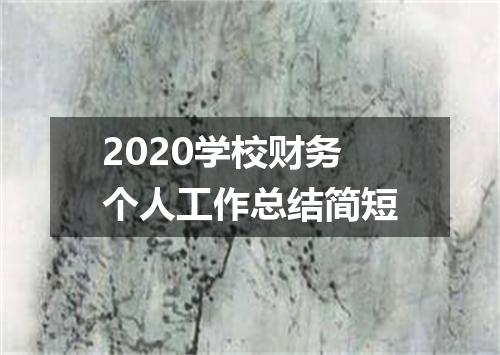 2020学校财务个人工作总结简短