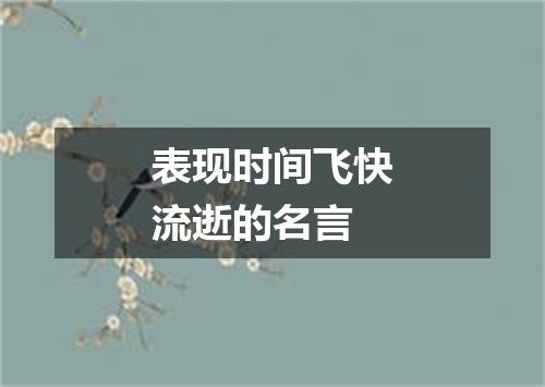 表现时间飞快流逝的名言
