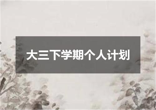 大三下学期个人计划