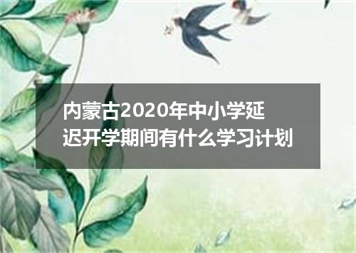 内蒙古2020年中小学延迟开学期间有什么学习计划