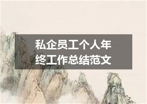 私企员工个人年终工作总结范文