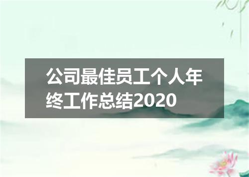 公司最佳员工个人年终工作总结2020