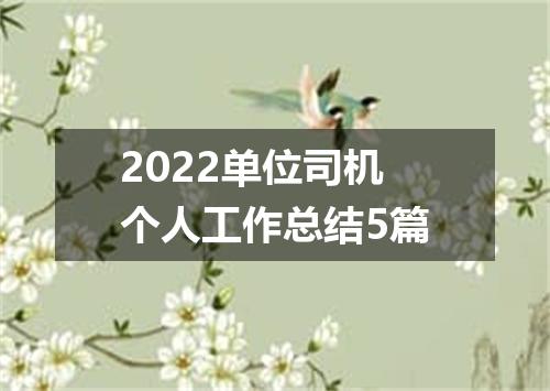 2022单位司机个人工作总结5篇