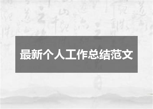 最新个人工作总结范文