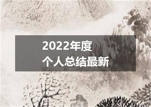 2022年度个人总结最新