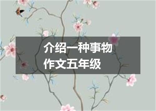 介绍一种事物作文五年级