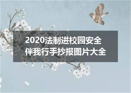 2020法制进校园安全伴我行手抄报图片大全