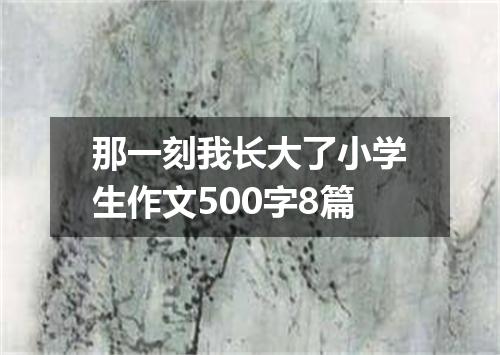那一刻我长大了小学生作文500字8篇