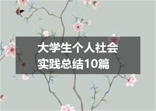 大学生个人社会实践总结10篇