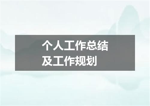 个人工作总结及工作规划