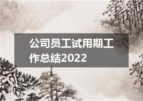公司员工试用期工作总结2022