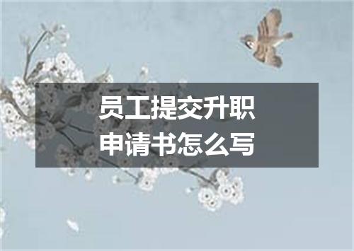 员工提交升职申请书怎么写