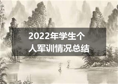 2022年学生个人军训情况总结