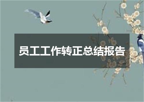 员工工作转正总结报告
