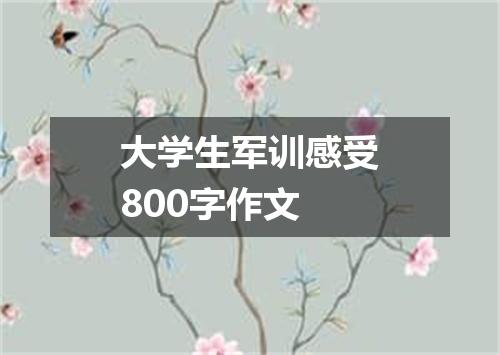 大学生军训感受800字作文