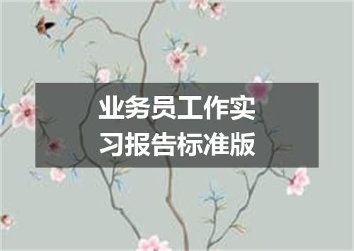 业务员工作实习报告标准版