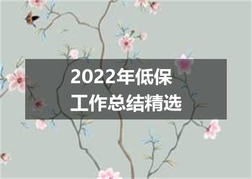 2022年低保工作总结精选