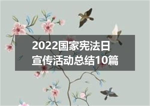 2022国家宪法日宣传活动总结10篇