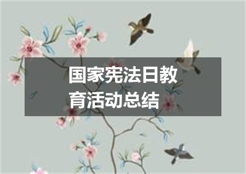 国家宪法日教育活动总结