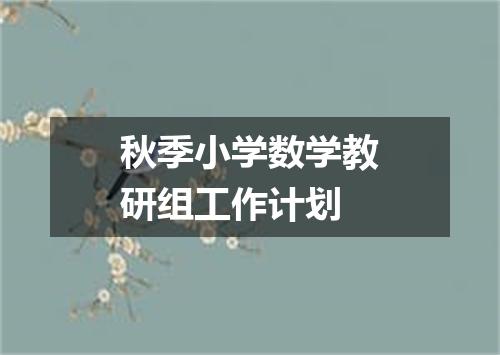 秋季小学数学教研组工作计划