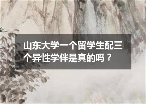 山东大学一个留学生配三个异性学伴是真的吗?