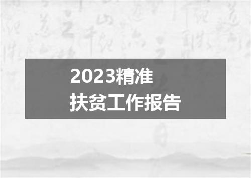 2023精准扶贫工作报告