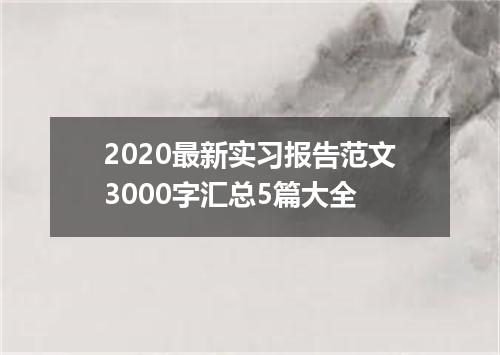 2020最新实习报告范文3000字汇总5篇大全