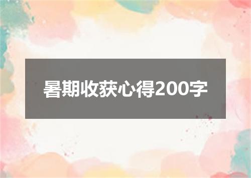 暑期收获心得200字