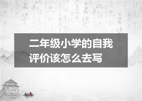 二年级小学的自我评价该怎么去写