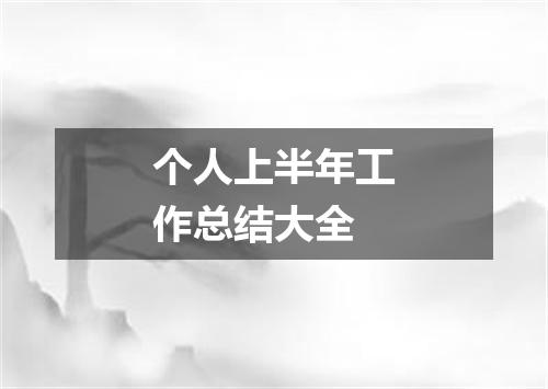 个人上半年工作总结大全