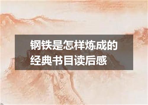 钢铁是怎样炼成的经典书目读后感