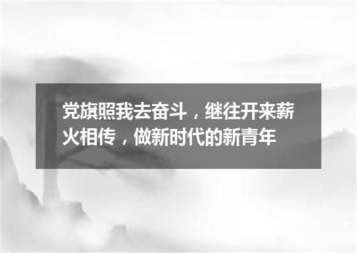 党旗照我去奋斗，继往开来薪火相传，做新时代的新青年