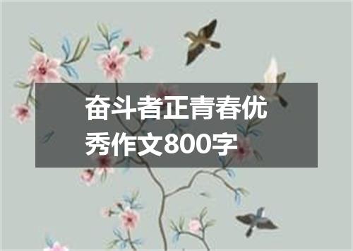 奋斗者正青春优秀作文800字