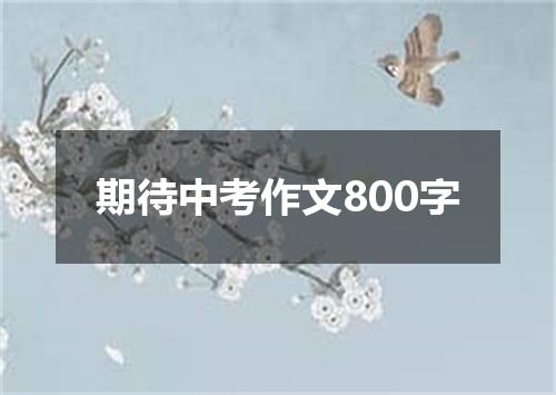 期待中考作文800字