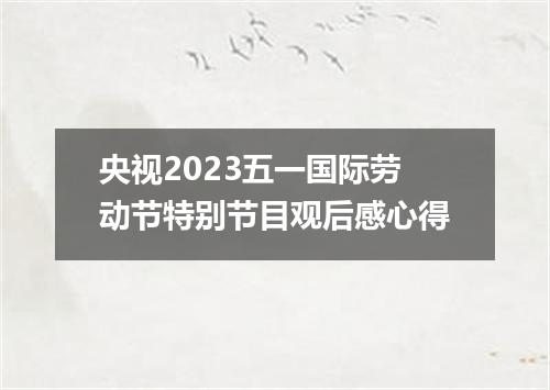 央视2023五一国际劳动节特别节目观后感心得