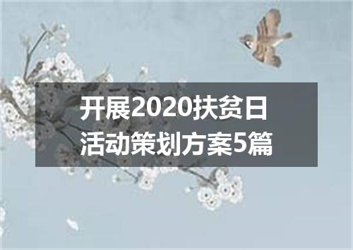 开展2020扶贫日活动策划方案5篇