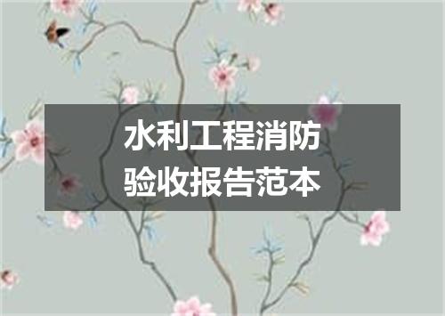 水利工程消防验收报告范本