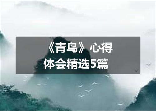 《青鸟》心得体会精选5篇