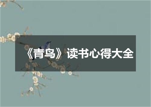 《青鸟》读书心得大全