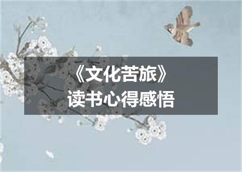 《文化苦旅》读书心得感悟