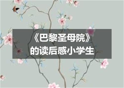 《巴黎圣母院》的读后感小学生