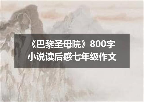 《巴黎圣母院》800字小说读后感七年级作文