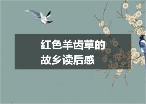 红色羊齿草的故乡读后感