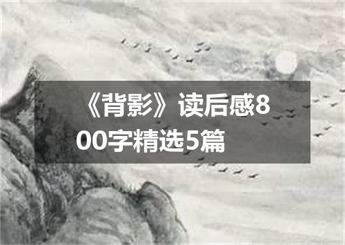 《背影》读后感800字精选5篇
