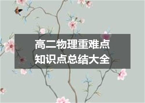高二物理重难点知识点总结大全